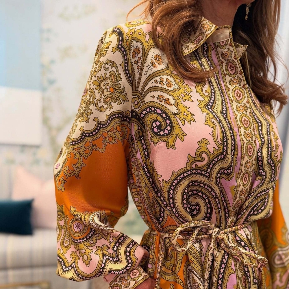 Alemais Clemenza Silk Shirtdress - Mult - Picture 8 of 16